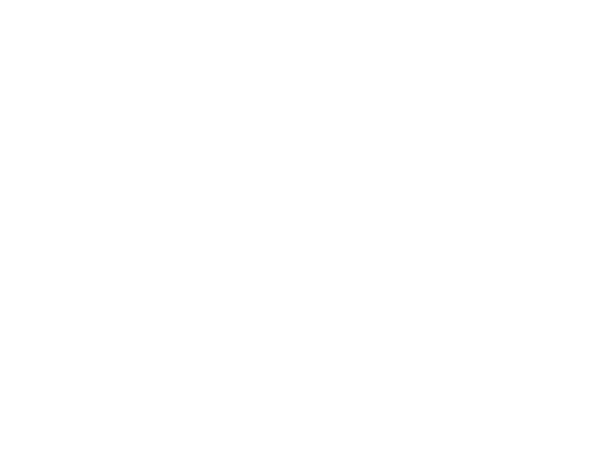 Willamette Valley Bullies